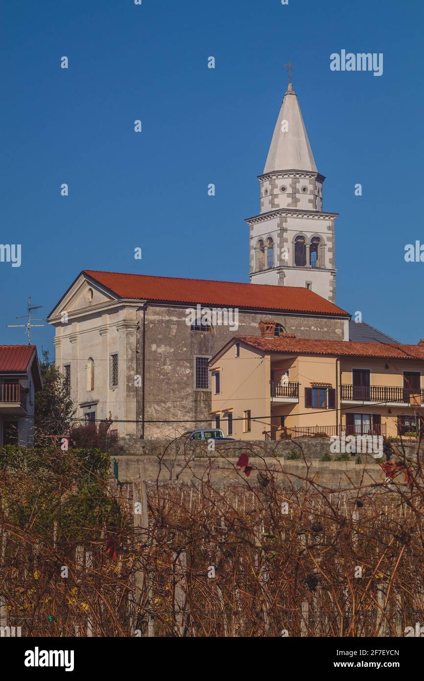 A tyical coastal church in southern Slovenia in the village of Pliskovica on a sunny day in autumn. Grapevine in the foreground. Stock Photo