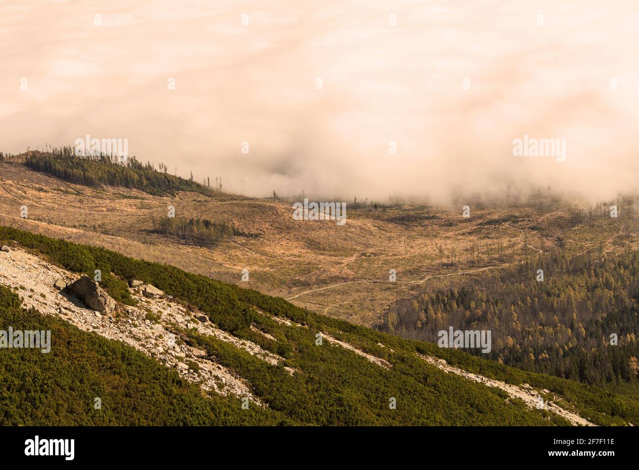 Tatra mountains with clouds in morning Stock Photo - Alamy