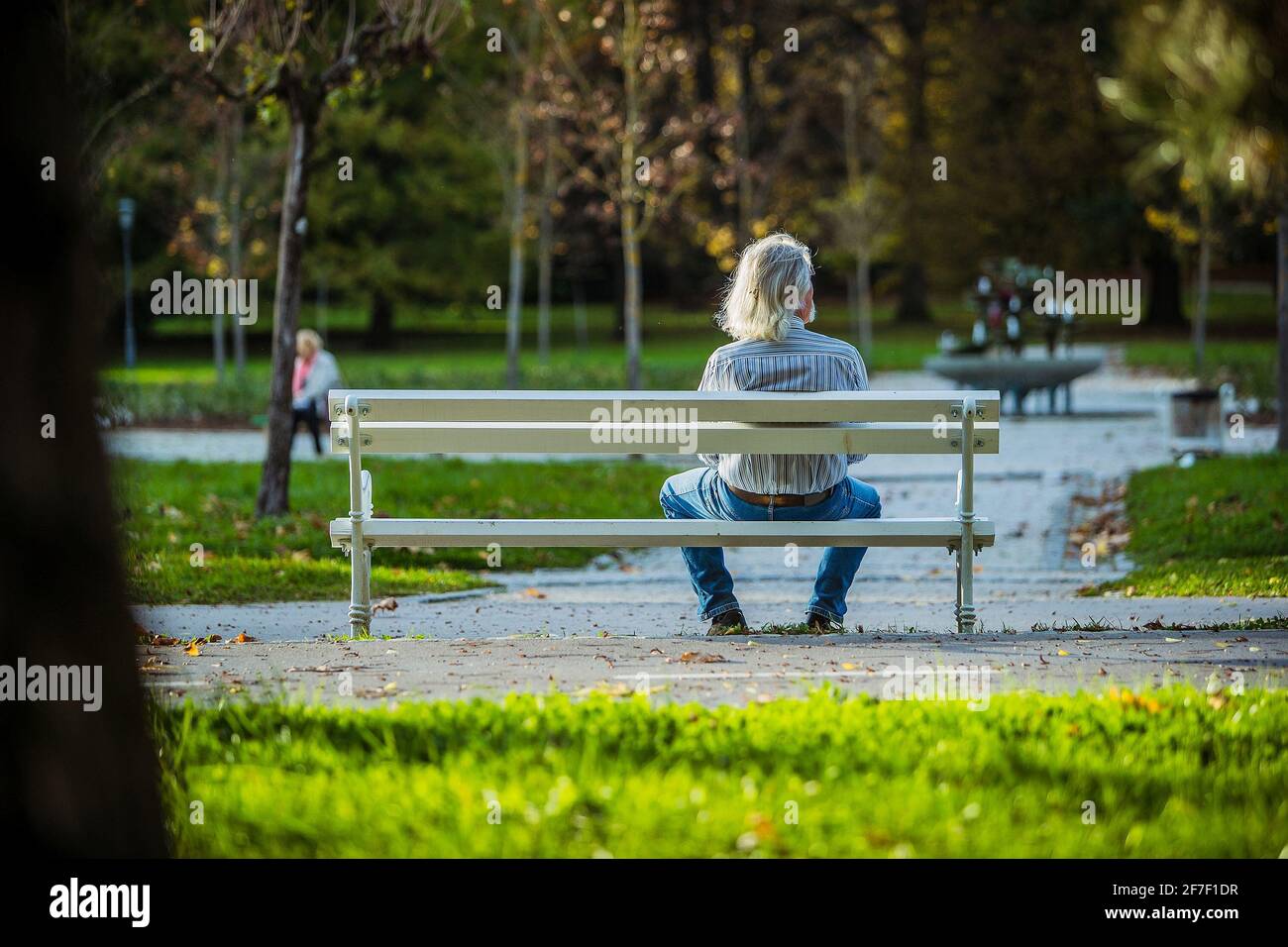 Back of man alone on park bench hi-res stock photography and images - Alamy