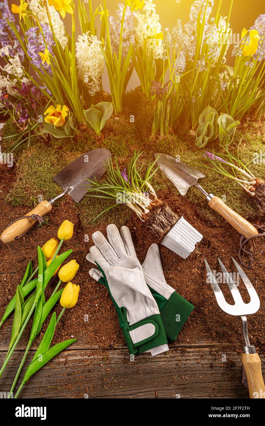 Set plant gardening tools hi-res stock photography and images - Alamy