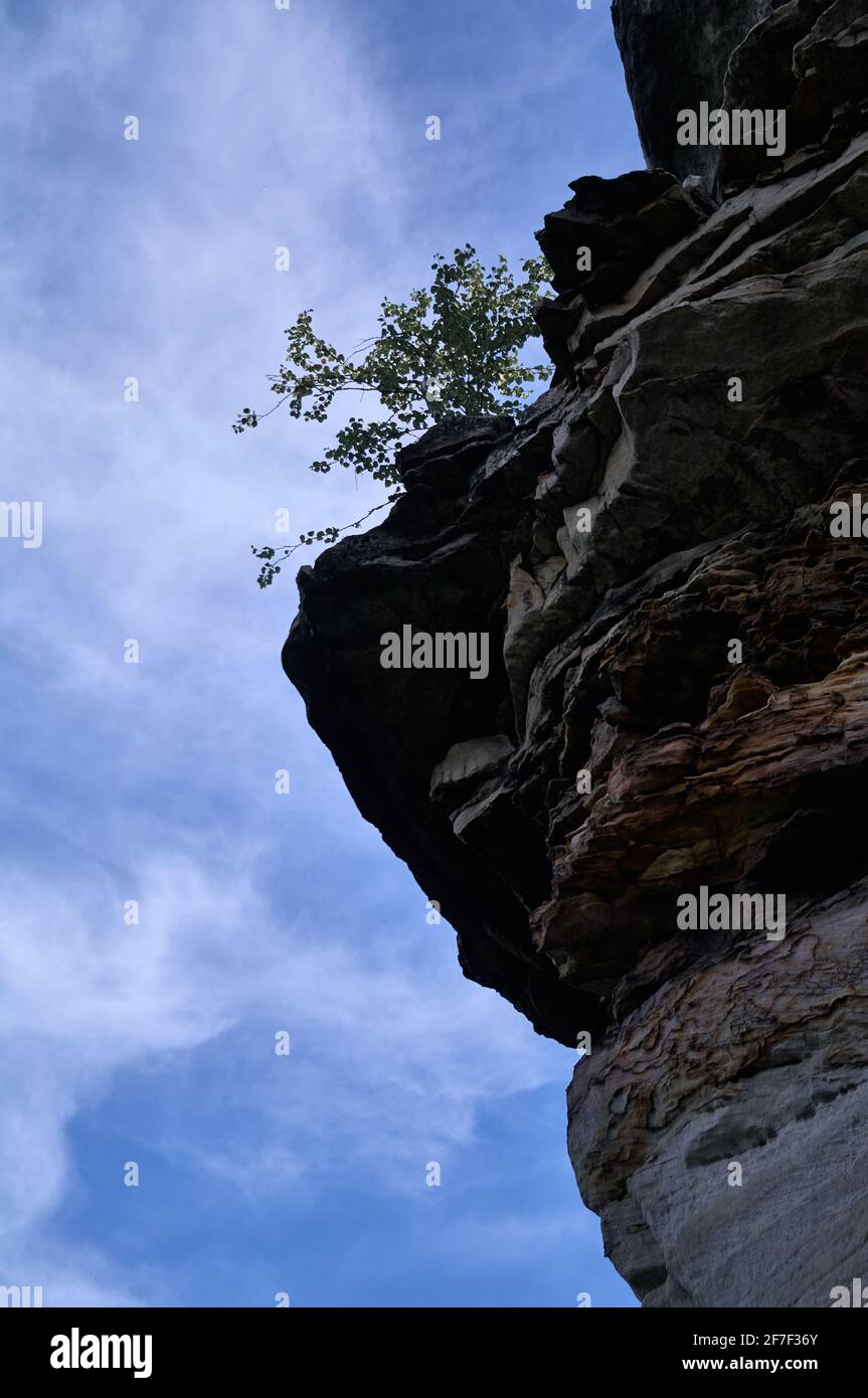 Rocky ledge with tree against the blue sky with clouds. Stock Photo