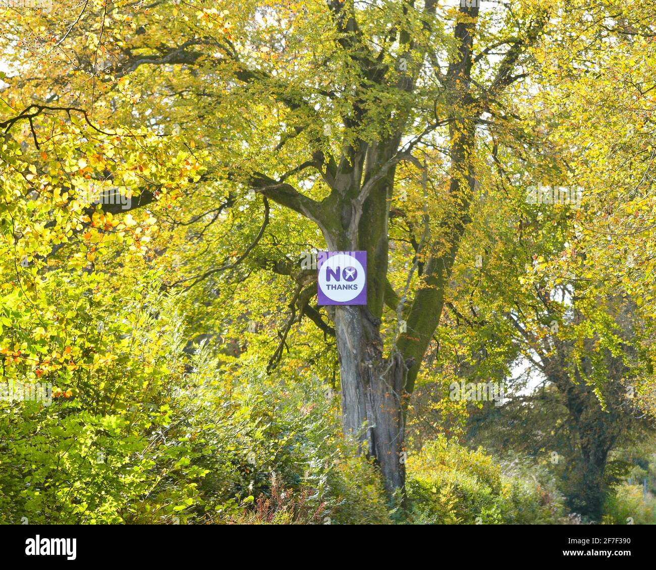 No Thanks Sign part of the Better Together campaign during the 2014 Scottish Independence Referendum, Stirling, Scotland, UK Stock Photo