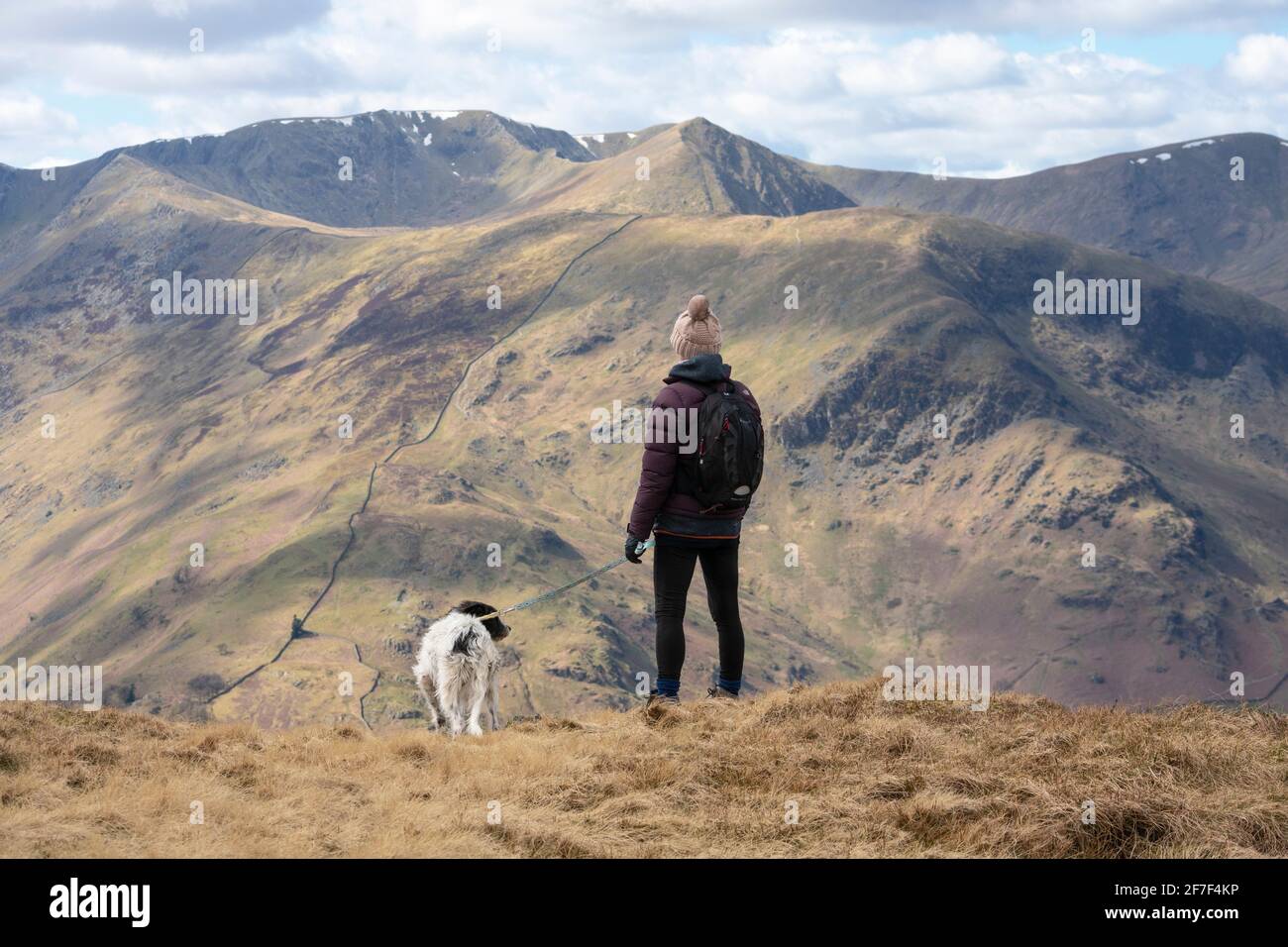 Lady fell walker with a dog looking towards Helvellyn from Place Fell Stock Photo