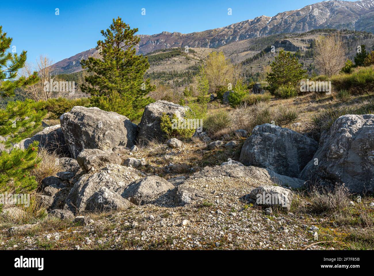 Mountain panorama with black pines, bushes and boulders in the foreground. Maiella National Park, Abruzzo, Italy, Europe Stock Photo