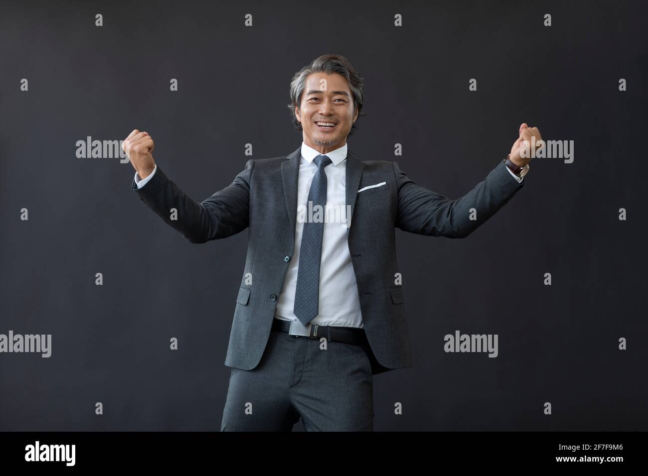 Successful businessman punching the air Stock Photo Alamy