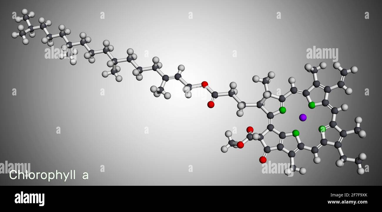 Chlorophyll A Chlorophyll Molecule It Is Photosynthetic Pigment Used In Oxygenic Photosynthesis Molecular Model 3d Rendering 3d Illustration Stock Photo Alamy