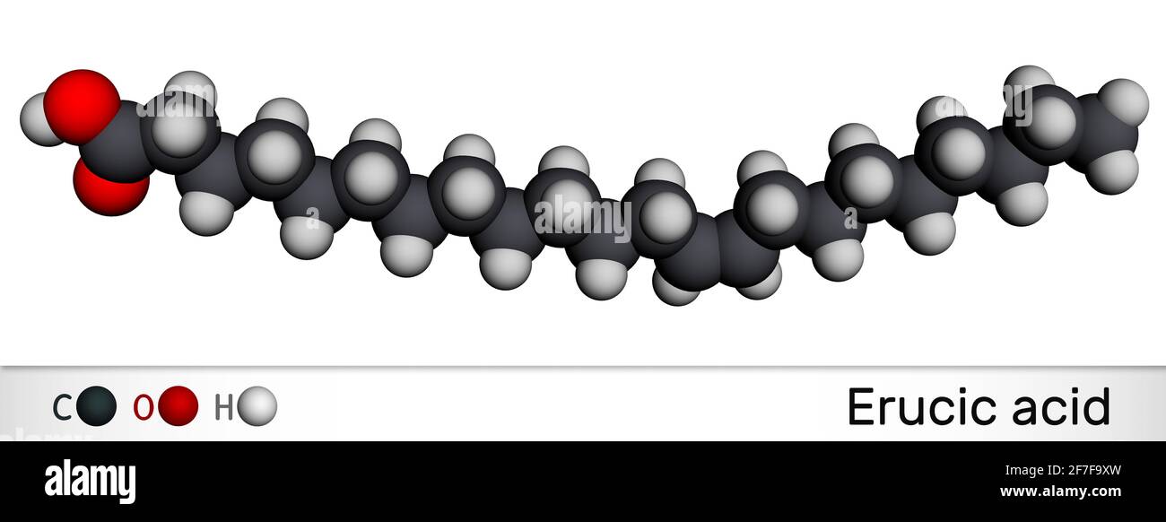 Erucic acid molecule. It is docosenoic acid, monounsaturated omega9