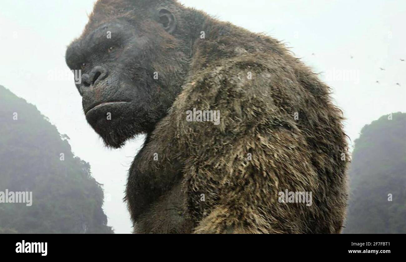 GODZILLA vs. KONG 2021 Warner Bros Pictures film directed by Adam Wingard Stock Photo
