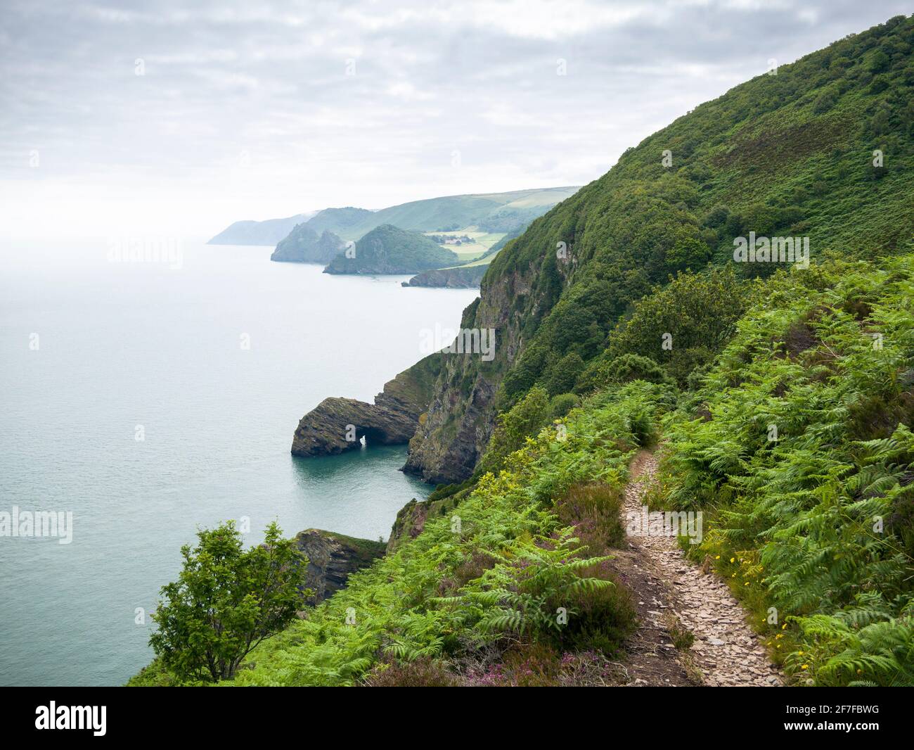 The South West Coast Path at Wringapeak on the Exmoor National Park coastline with Valley of the Rocks and Foreland Point beyond, North Devon, England. Stock Photo