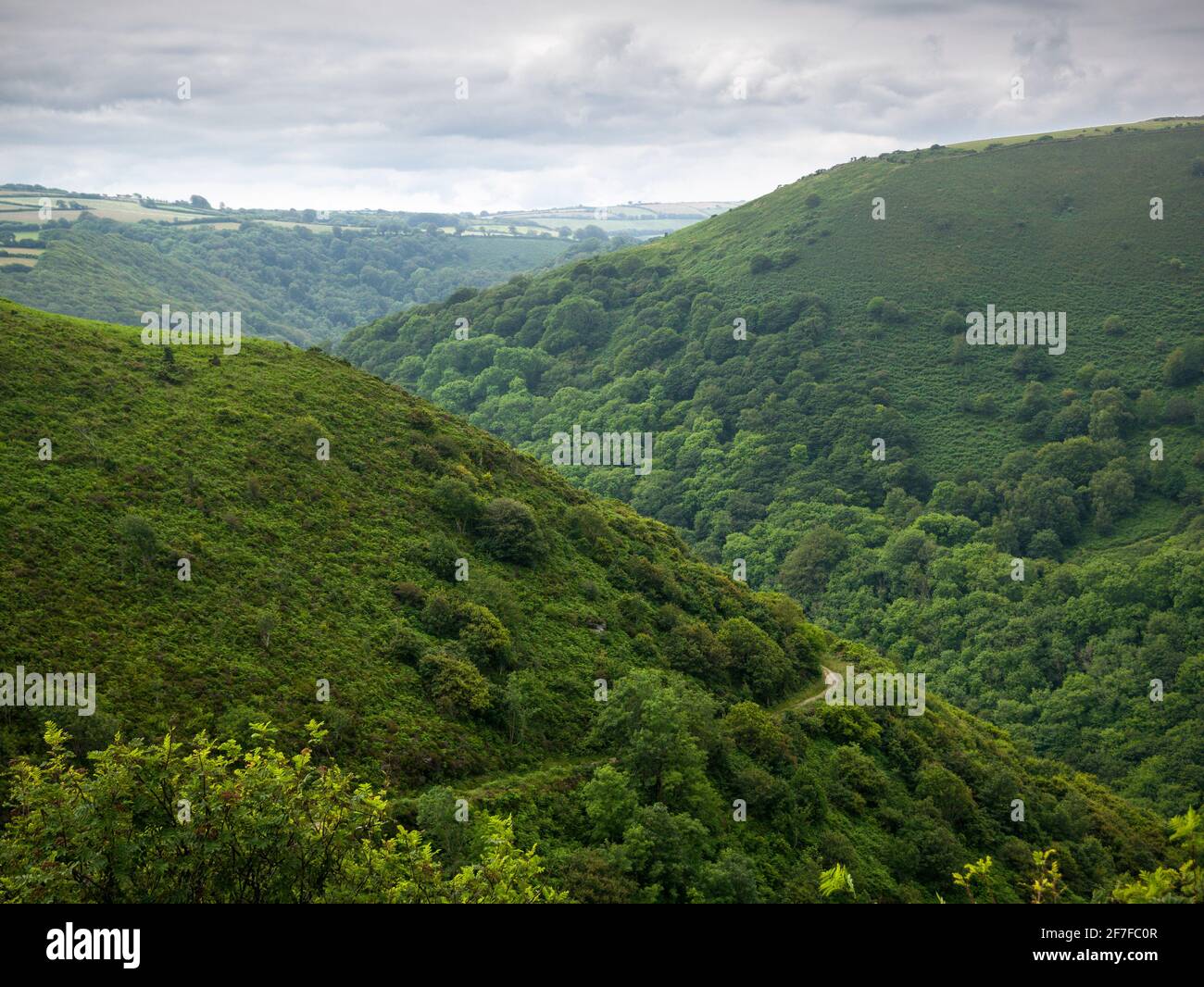 The Heddon Valley and Heddon’s Mouth Cleave from above Hill Brook near Trentishoe in the Exmoor National Park, North Devon, England. Stock Photo