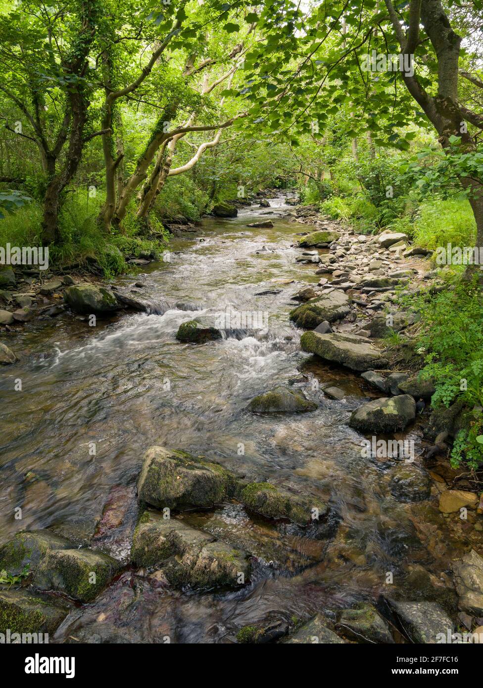 The River Heddon in the Heddon Valley near Trentishoe in the Exmoor National Park, North Devon, England. Stock Photo