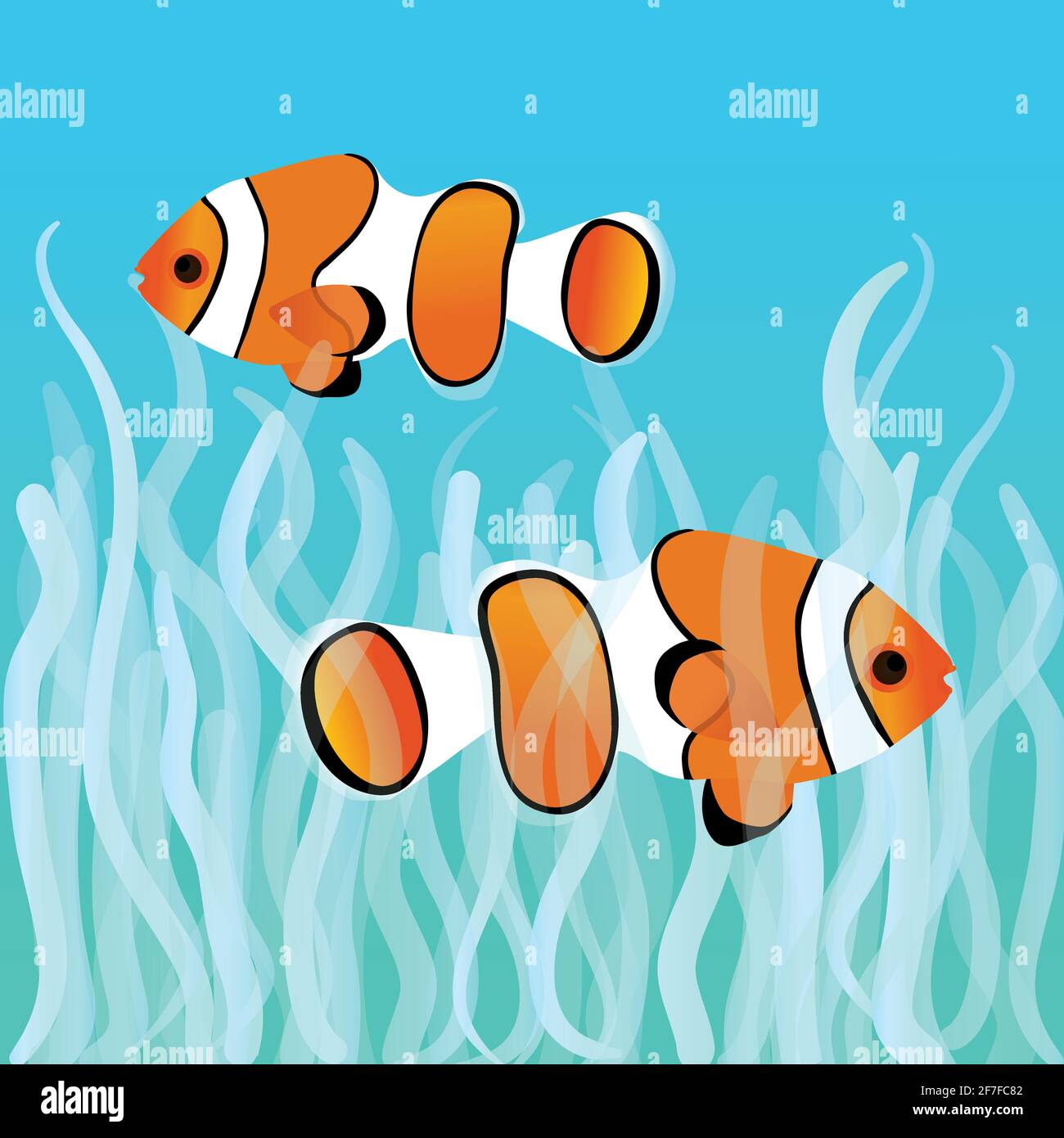 Two clownfishes swimming between sea anemones Stock Vector