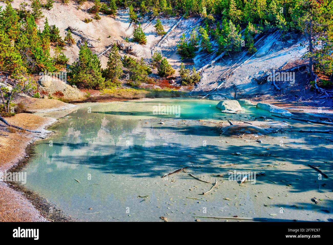 Colorful Spring at the Norris Geyser Basin in Yellowstone National Park ...
