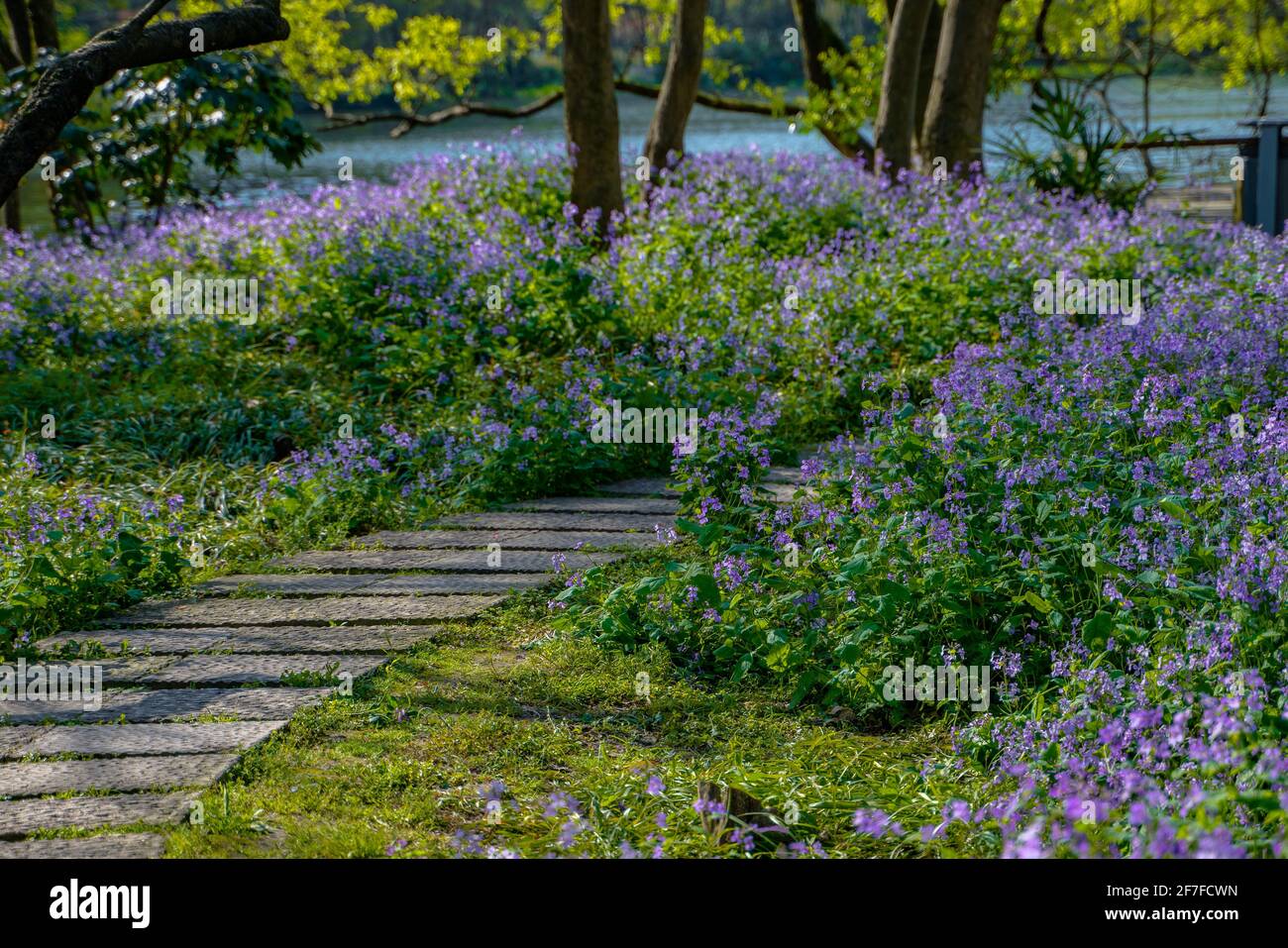 Spring In Hangzhou Inside view of a city park in Hangzhou, China, spring time Stock Photo ...