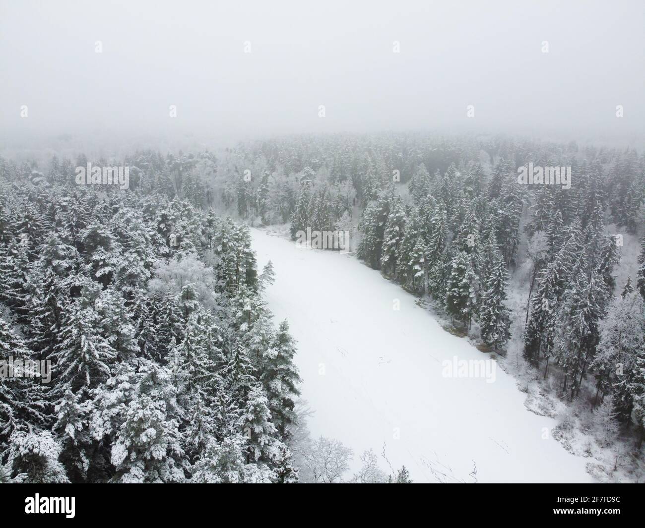 Aerial view of frozen river in winter forest with snowy trees. Winter ...