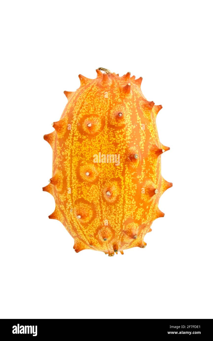 Kiwano melon fruit or Horned Melon isolated on white backgroud. A single African horned cucumber Stock Photo