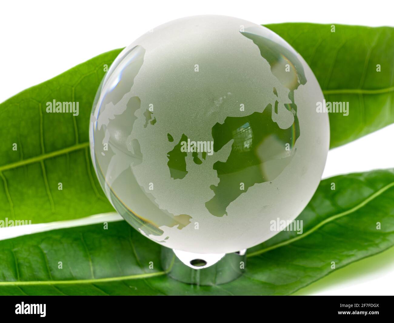 Glass world globe on white background with green leaves Stock Photo Alamy