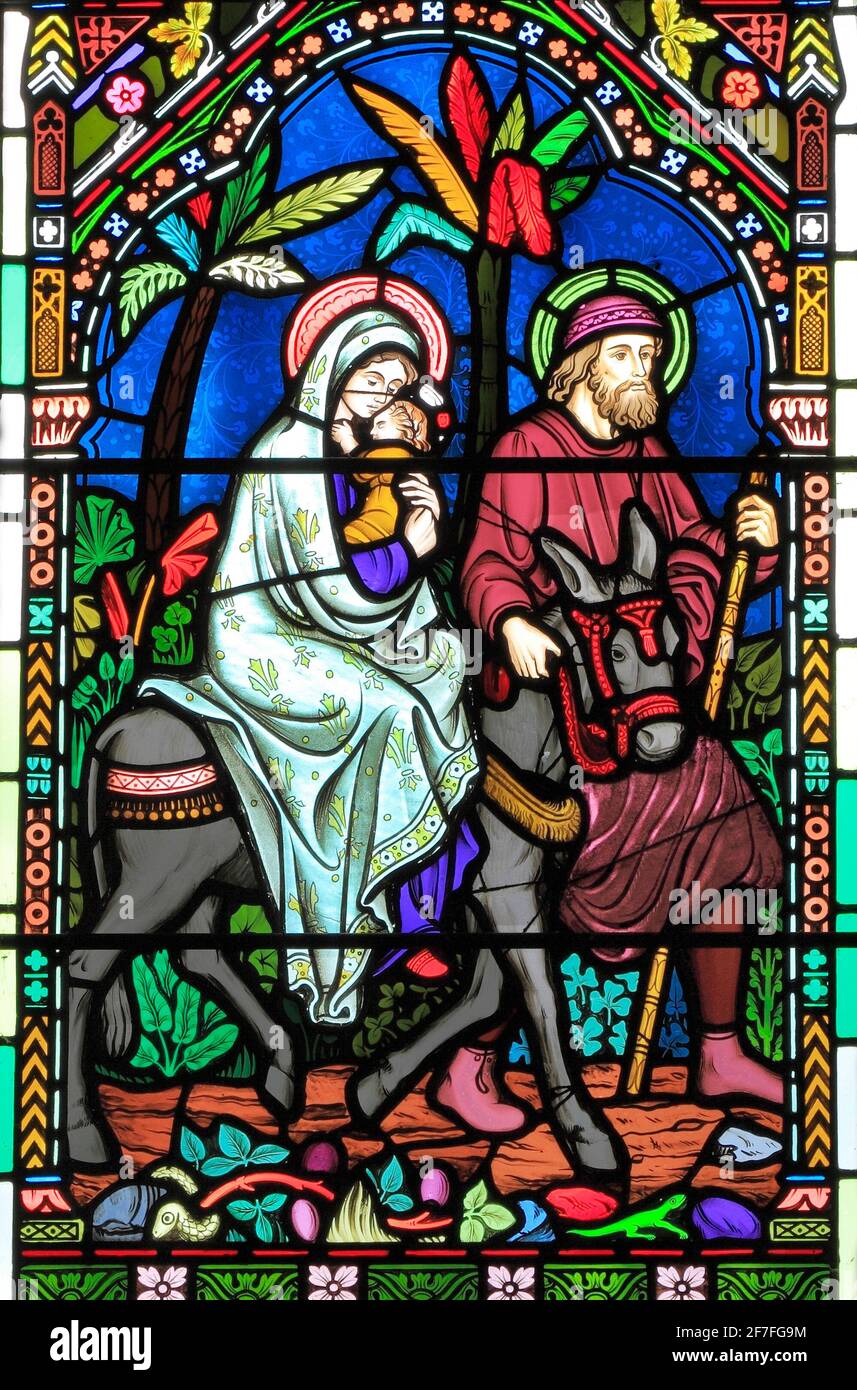 Flight to Egypt, Joseph, Mary, baby Jesus escape slaughter of new born males, stained glass window, Gunthorpe, Norfolk, England Stock Photo