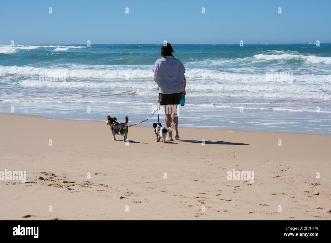 Woman walking dog beach summer hi-res stock photography and images - Alamy