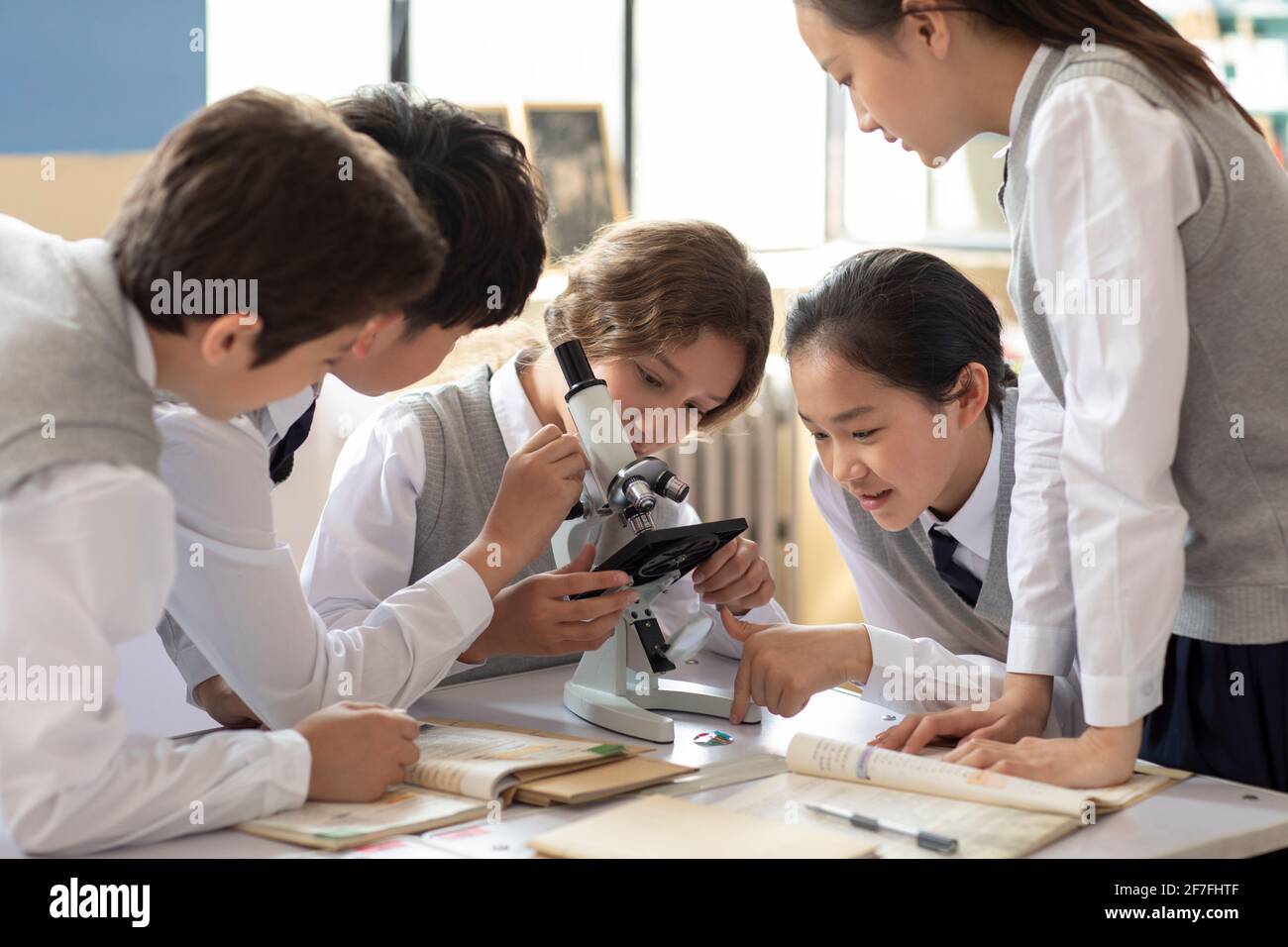 Students using microscope in classroom Stock Photo Alamy