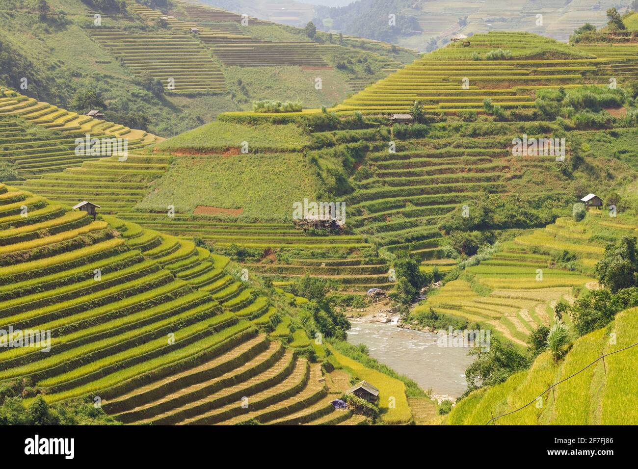 Rice terraces in Mu Cang Chai, Vietnam, Indochina, Southeast Asia, Asia Stock Photo