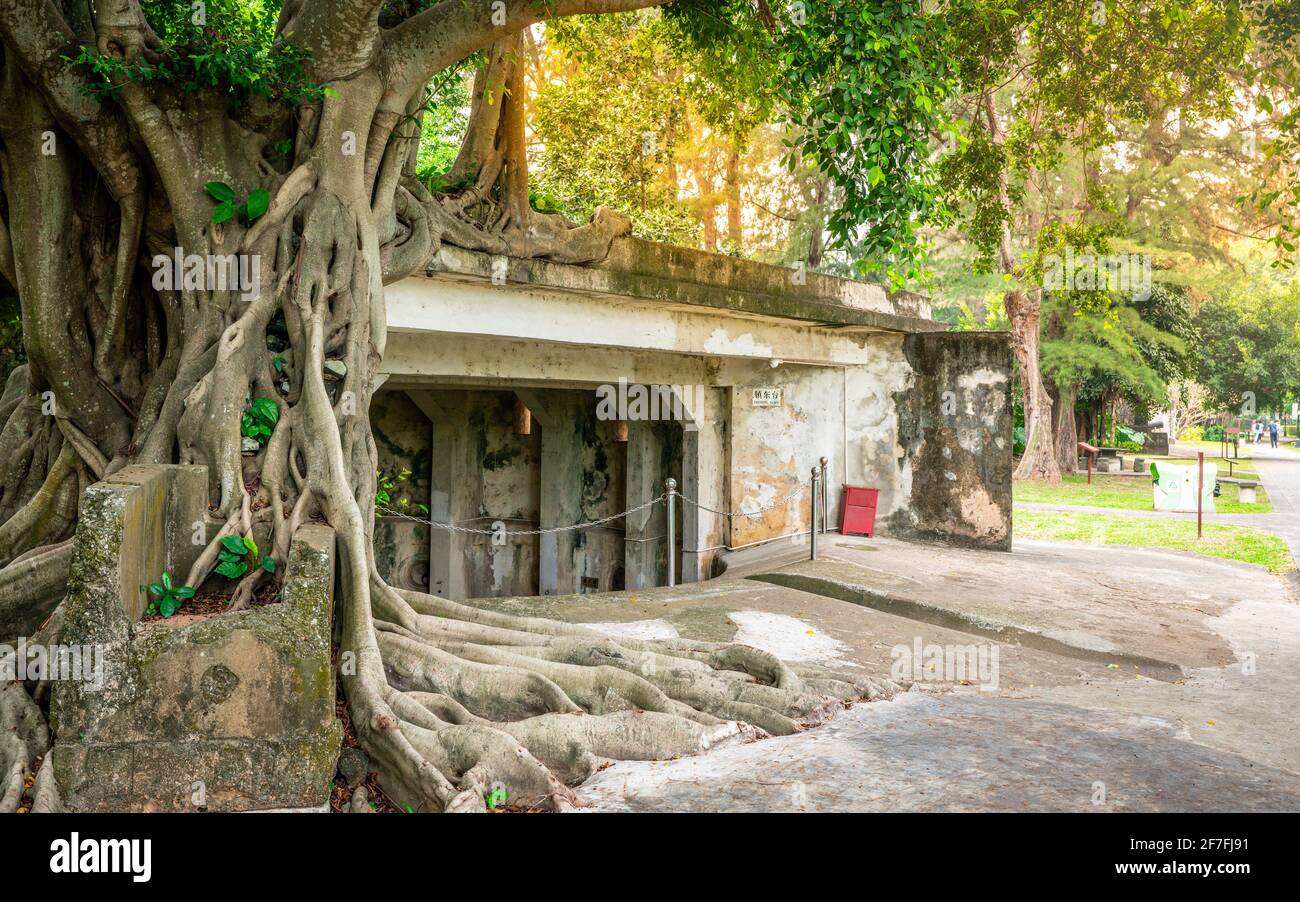 Zhengdong fort view with trees recovering it in Xiuying fort in Haikou Hainan China (translation : Zhengdong barbette ) Stock Photo