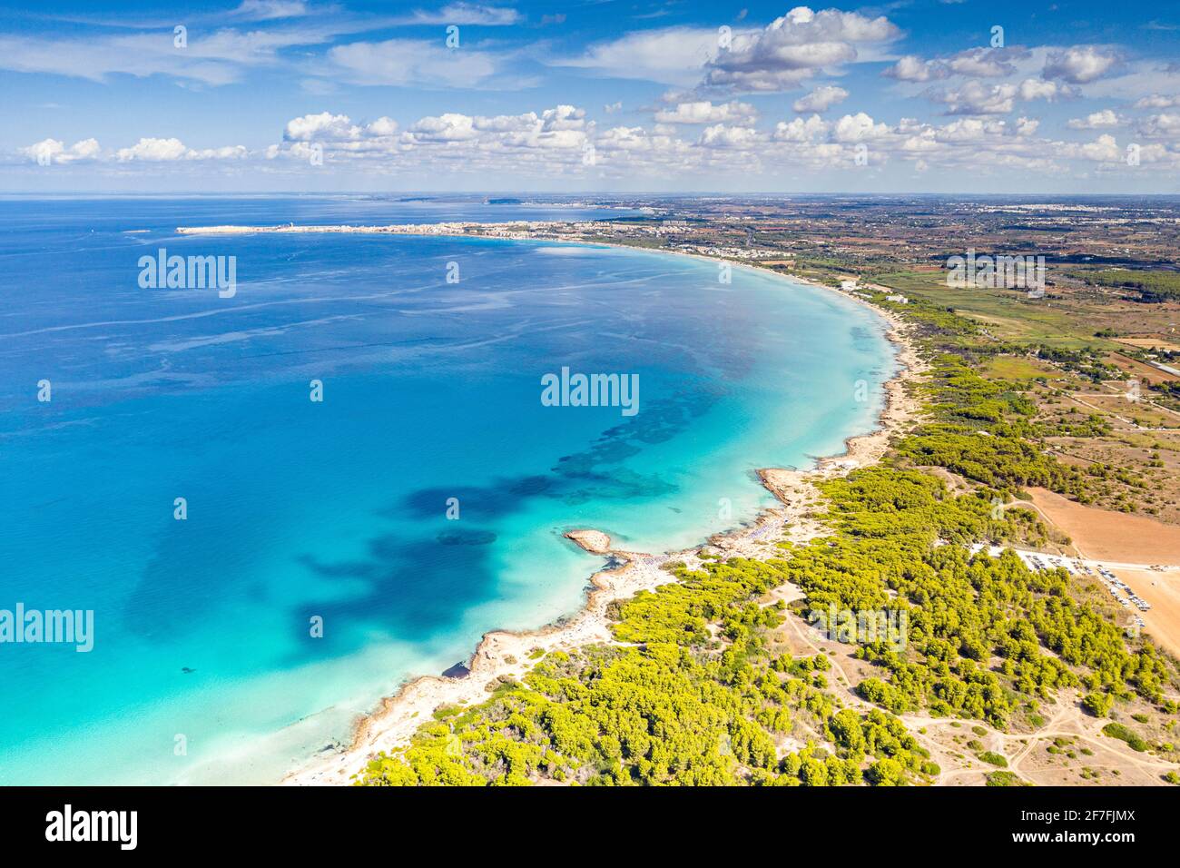 Punta della Suina sand beach framed by Mediterranean pine trees, aerial view, Gallipoli, Lecce province, Salento, Apulia, Italy, Europe Stock Photo