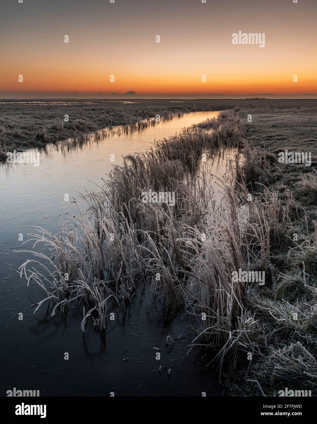 Dawn in winter, Elmley National Nature Reserve, Isle of Sheppey, Kent, England, United Kingdom, Europe Stock Photo