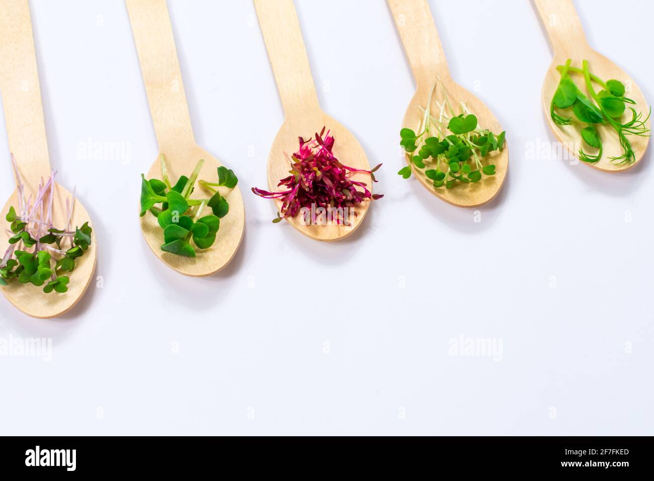 Micro greens of peas, red cabbage, amaranth, mustard, radish in assortment on wooden spoons arranged diagonally on a white background. Place for an Stock Photo