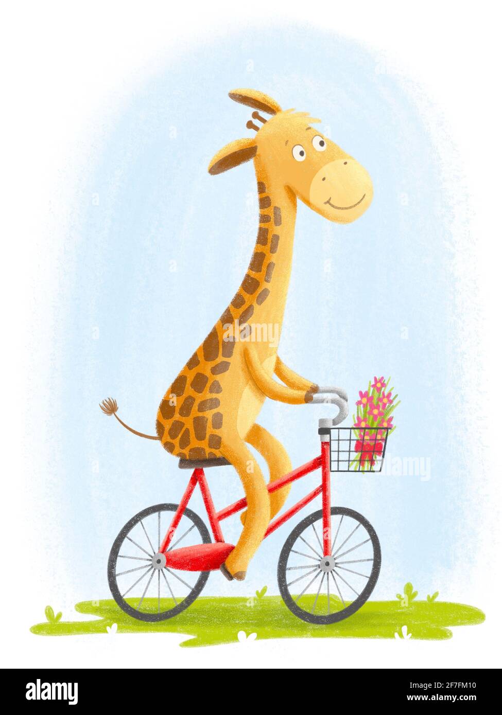 Giraffe On A Bicycle Stock Photo