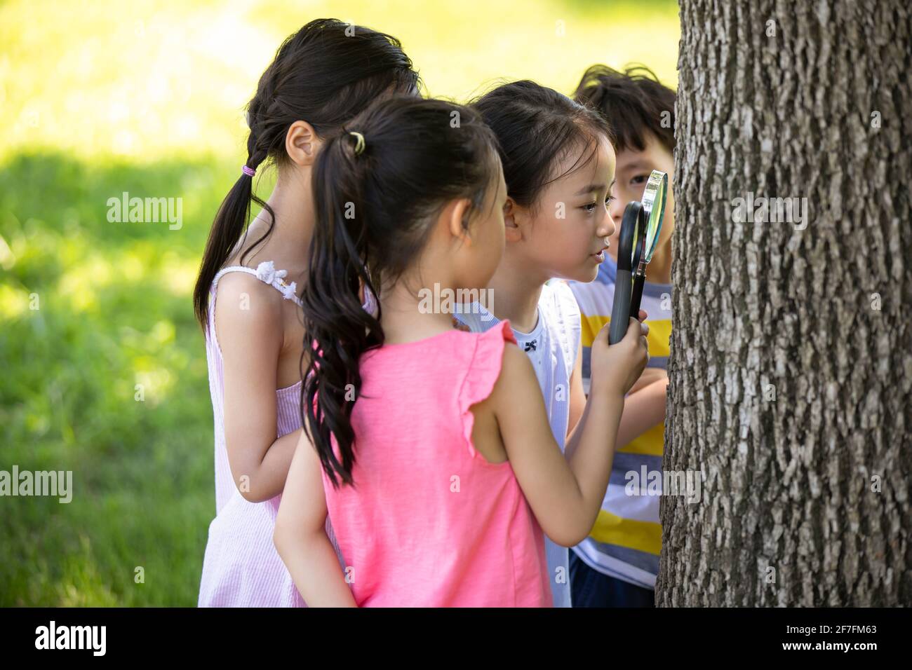 Happy children playing in park Stock Photo - Alamy