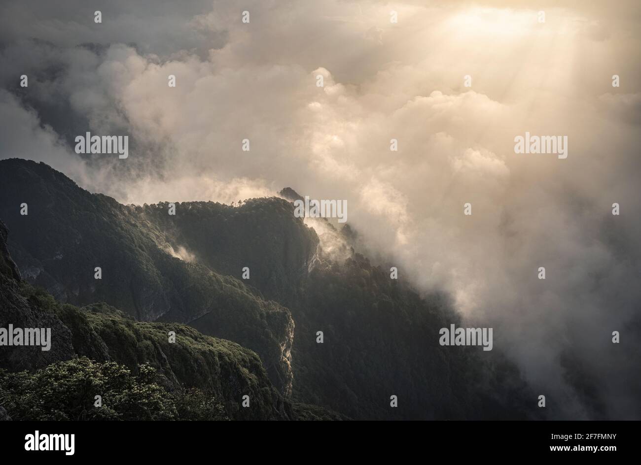 Cloudy sunrise from the peak of Emeishan, Emeishan, Sichuan, China, Asia Stock Photo