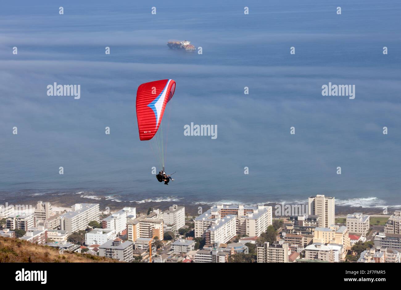 Paragliding over Sea Point, Cape Town, Western Cape, South Africa, Africa Stock Photo