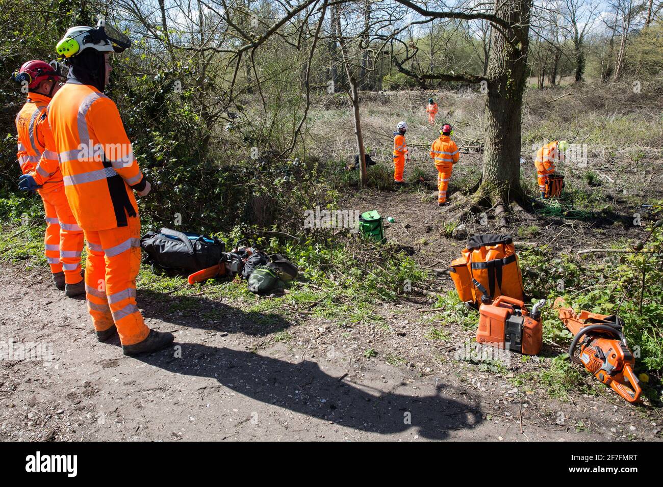 Denham, UK. 6th April, 2021. Tree surgeons observe the felling of trees alongside the Grand Union Canal as part of electricity pylon relocation works in Denham Country Park connected to the HS2 high-speed rail link.Thousands of trees have already been felled in the Colne Valley where HS2 works will include the construction of a Colne Valley Viaduct across lakes and waterways and electricity pylon relocation. Credit: Mark Kerrison/Alamy Live News Stock Photo