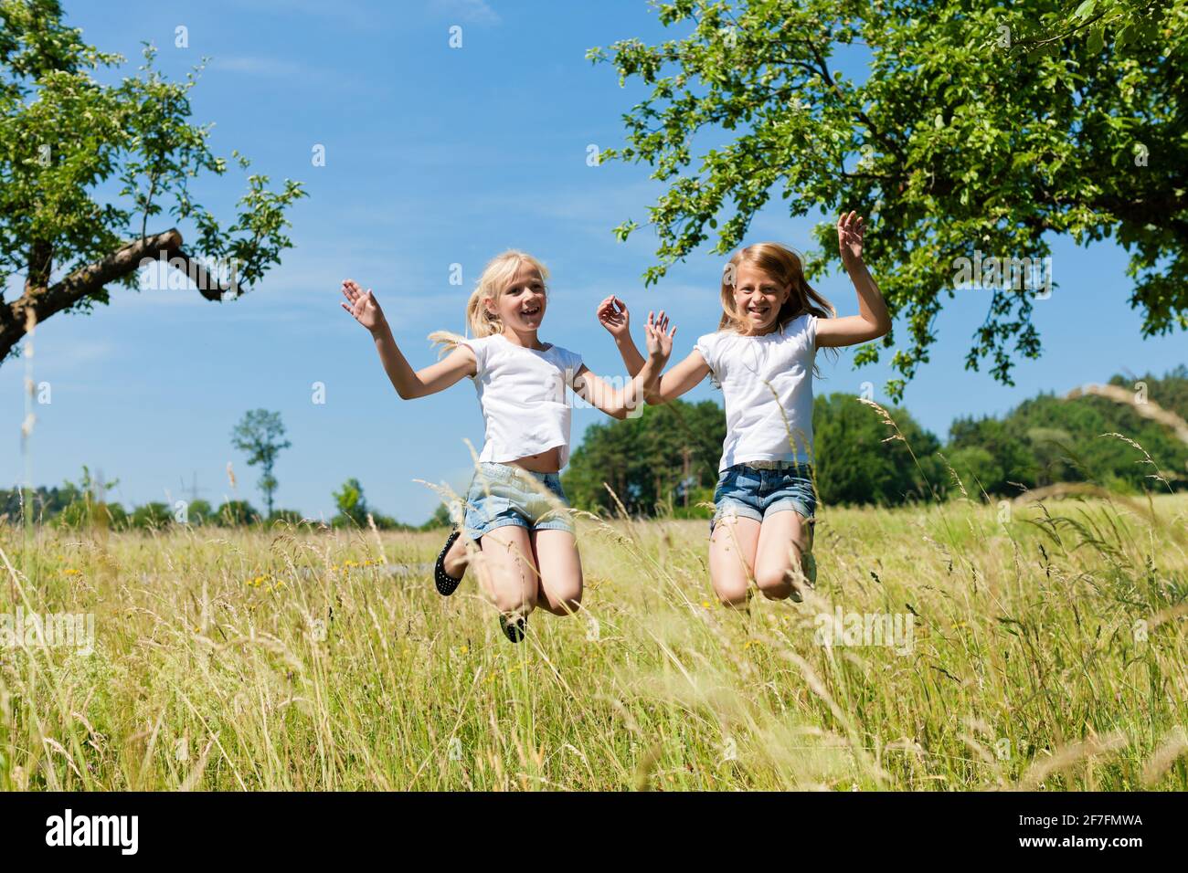 Happy children in a meadow in summer jumping high Stock Photo - Alamy