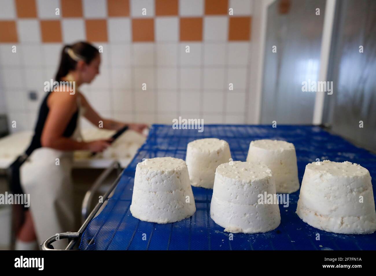Goat cheese factory on traditional farm in the French Alps, Haute