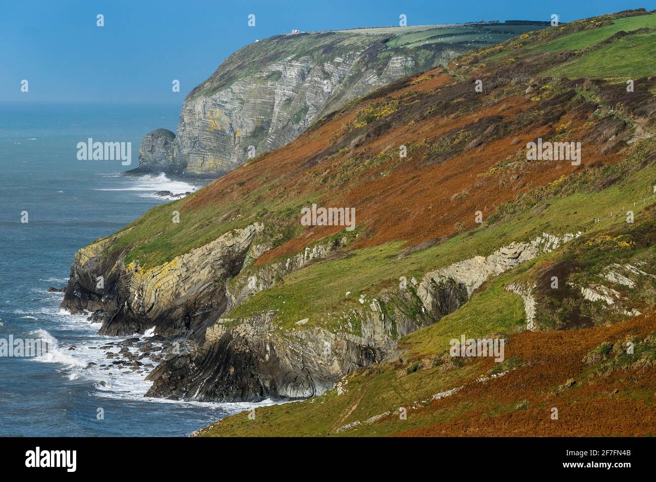 The folded Llandovery Series of Silurian rocks at Castell Bach and Bird Rock far beyond, Cwmtydu, New Quay, Ceredigion, Wales, United Kingdom, Europe Stock Photo