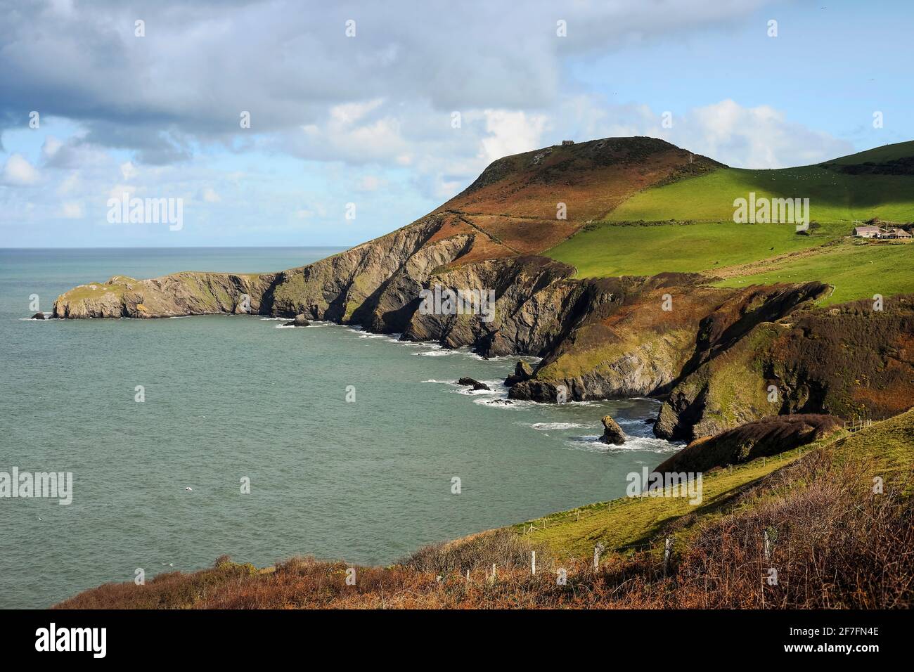 Lochtyn Peninsula's eroded cliffs at Llangrannog, The Giant Bica's rock tooth is lower right, Lochtyn, Ceredigion, Wales, United Kingdom, Europe Stock Photo