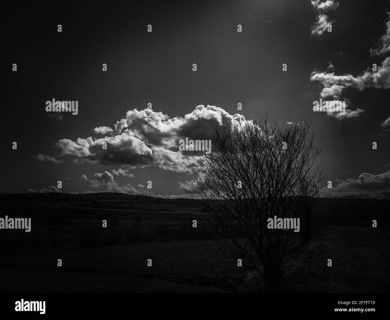 Tree view sky clouds Black and White Stock Photos & Images - Alamy