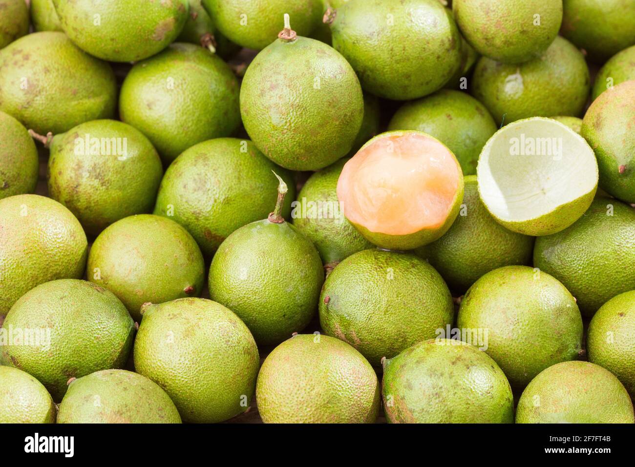 Fresh ripe peeled quenepa fruit Melicoccus bijugatus Stock Photo Alamy