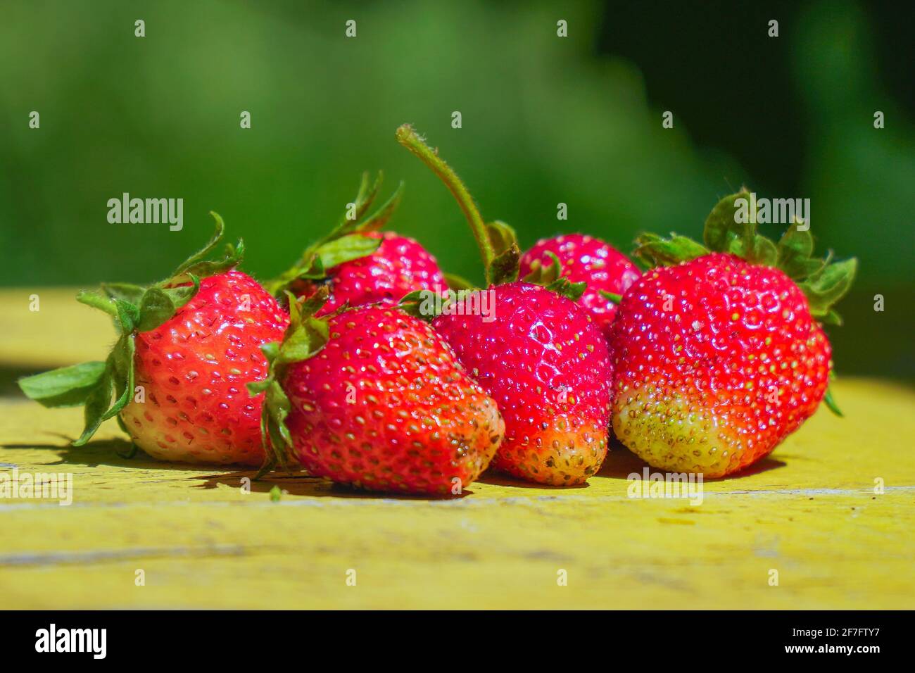 Red strawberries on an old yellow wooden table in the garden Stock ...