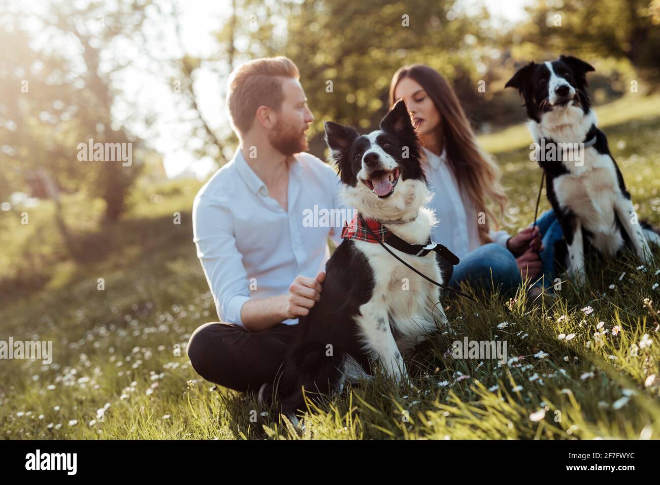 Happy couple playing with dog in the park outdoor Stock Photo - Alamy
