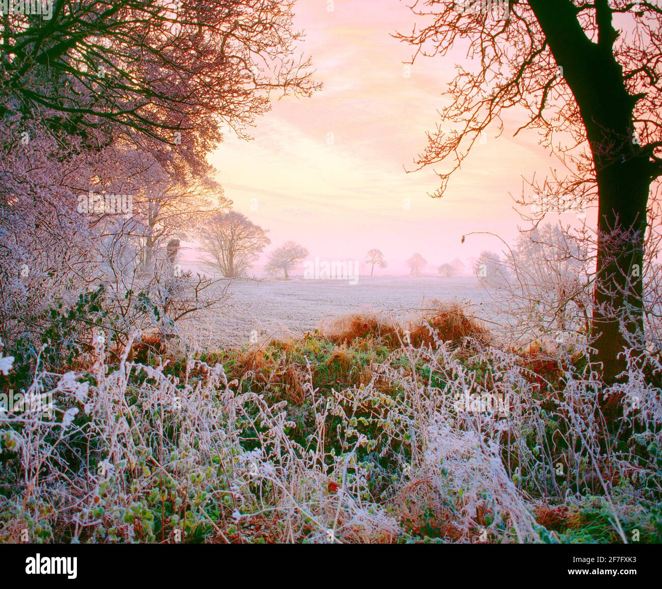 UK, Cheshire, frosted dawn country scene, Stock Photo