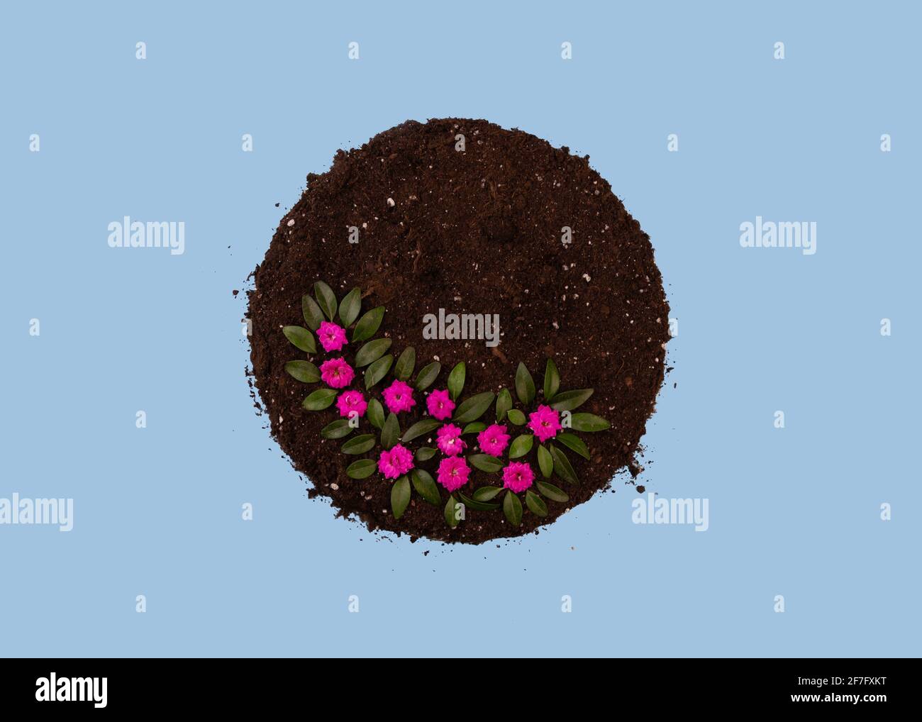 International mother earth day concept. Abstract circle made of soil, as a symbol of the planet Earth. Stock Photo