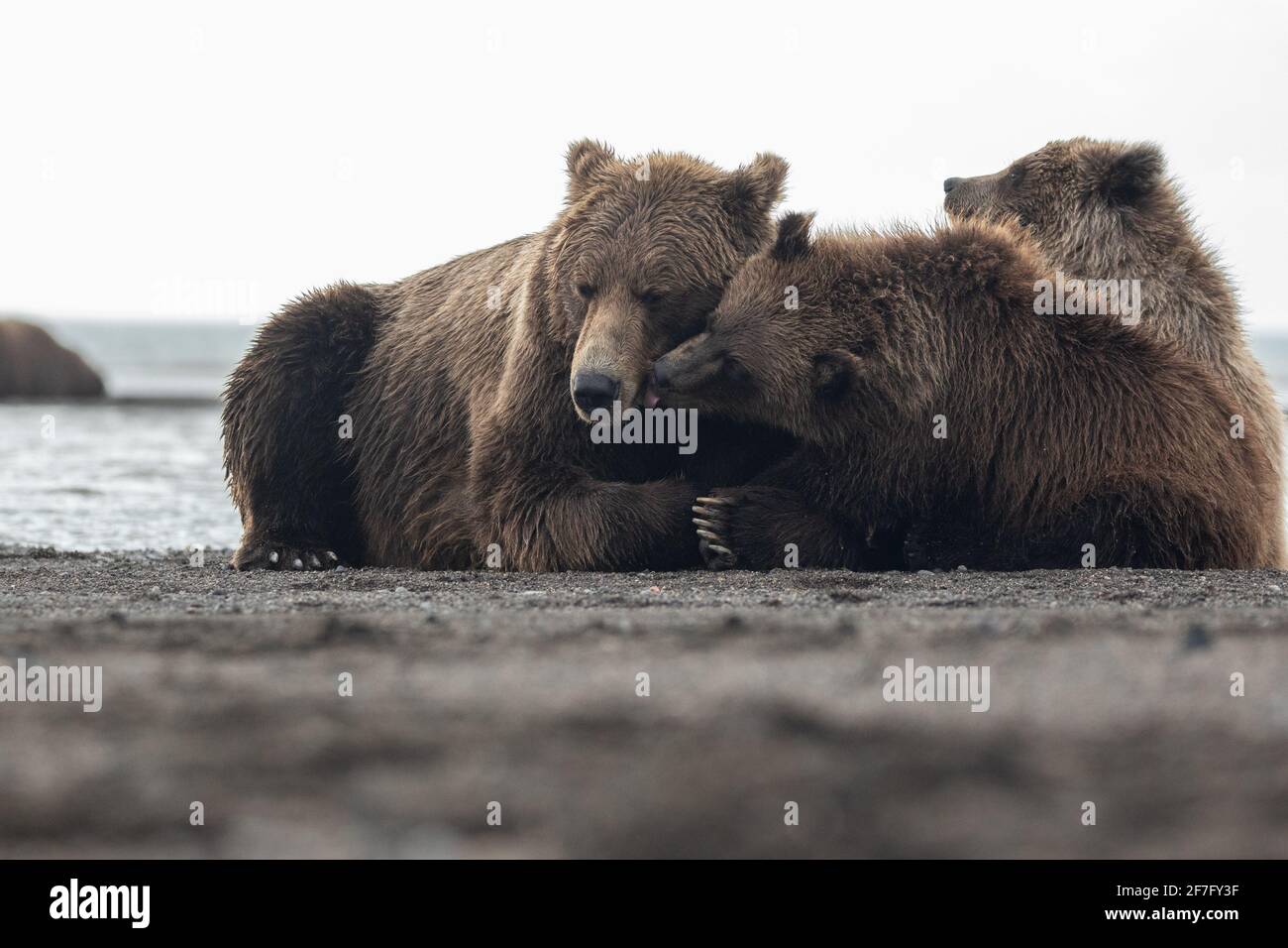 Battle ground lake fishing hires stock photography and images Alamy