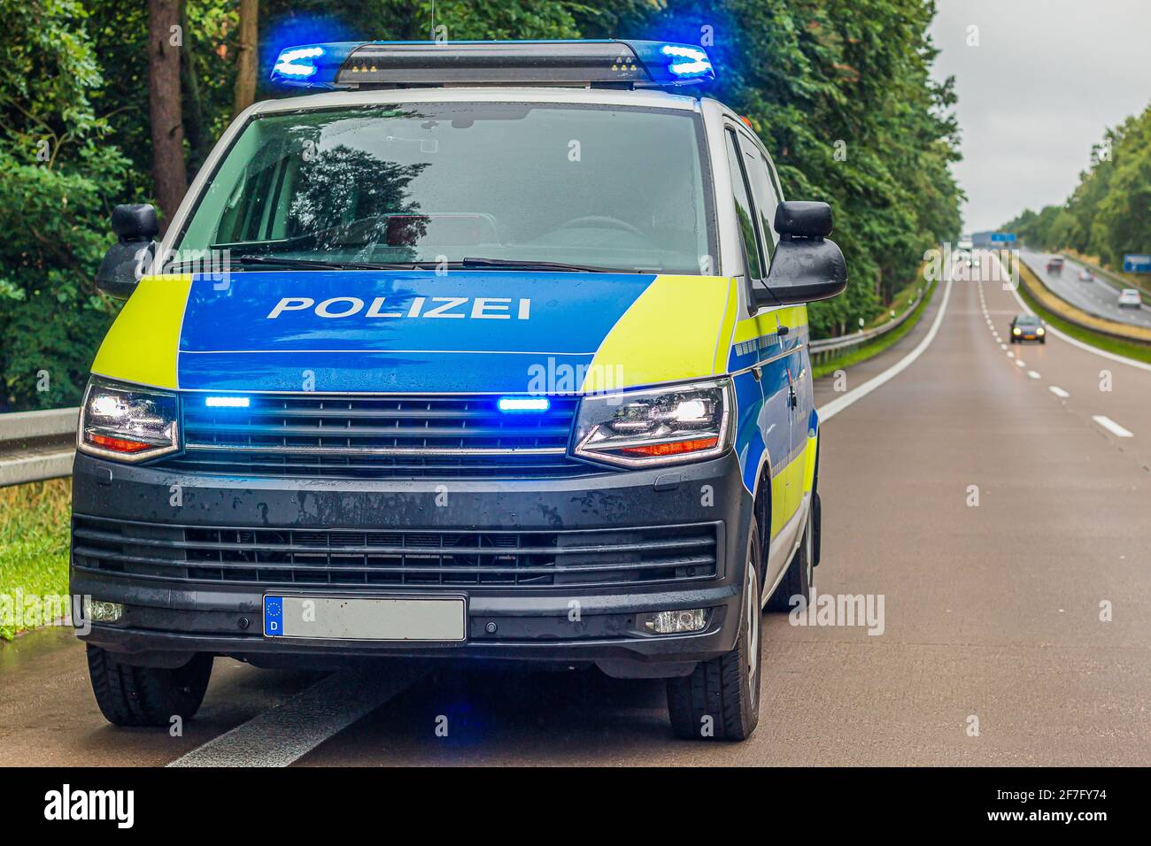 Police cars are parked on the highway. Turned on blue light and headlights on the police car. Rainy weather in spring with green trees. Stock Photo