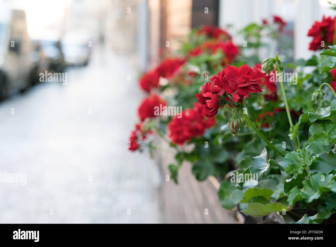 Flowers tables and chairs of an outdoor cafe in europe Stock Photo