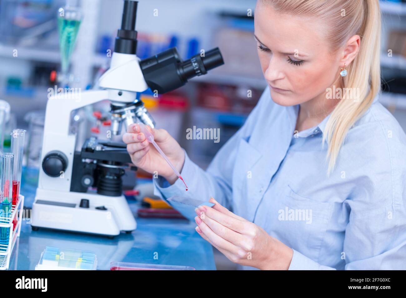 Laboratory assistant uses a polarizing microscope in a microbiological laboratory Stock Photo