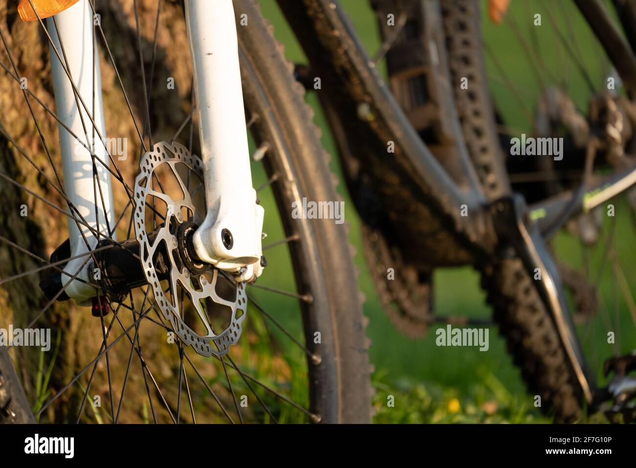 Mountain bike in a green park. Stock Photo