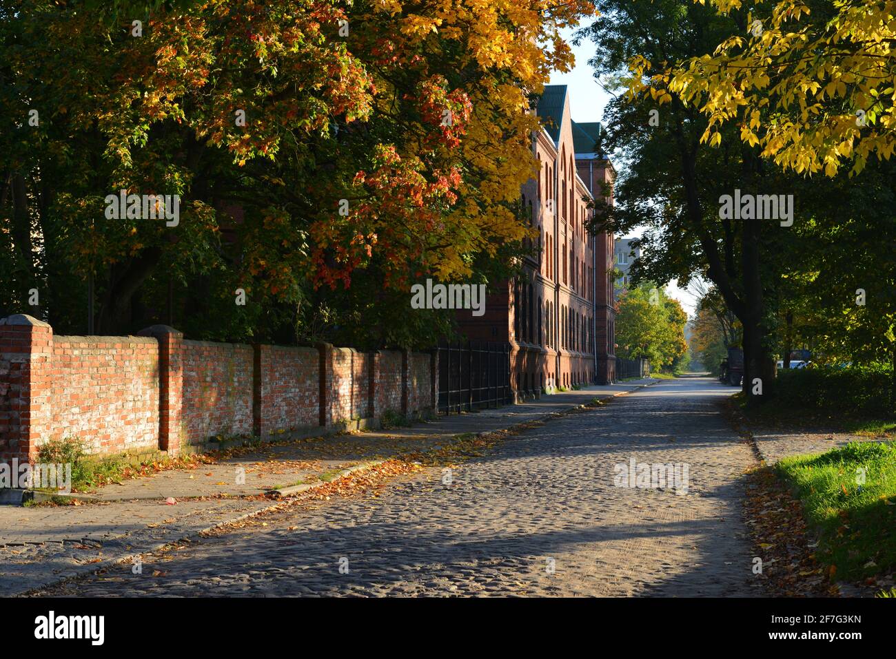 Old german cobblestone road in autumn evening Stock Photo